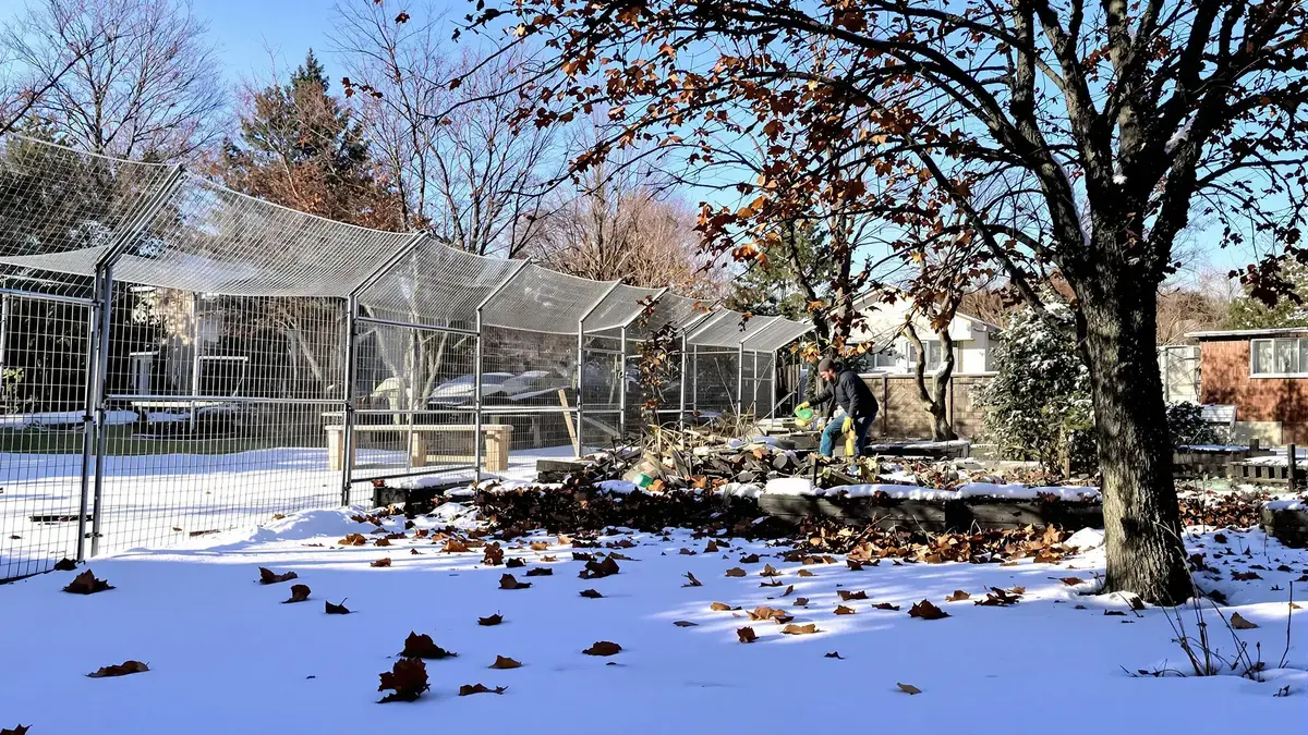 In inverno questo angolo del giardino attira i topi se non vengono adottate misure per sistemarlo