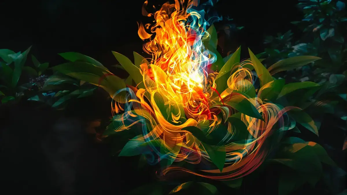 Questa pianta affascinante possiede un potere sorprendente: si accende come una candela a causa di un fenomeno naturale